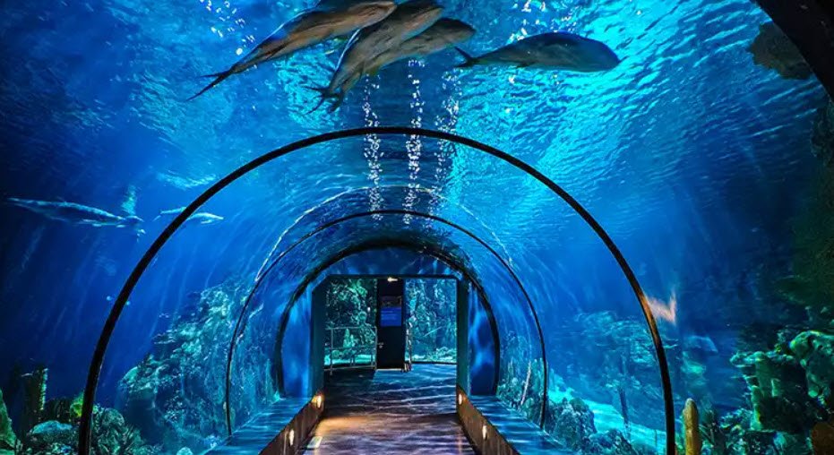 Aquarium At Moody Gardens, Texas, USA